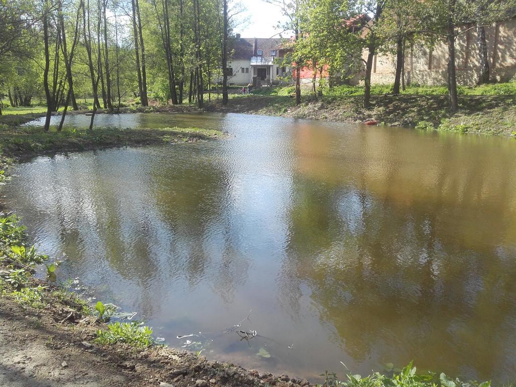 Villa Kypruv Mlyn Knínice Exterior foto